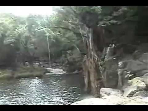 Swinging and Jumping Off Kipu Falls, Hawaii