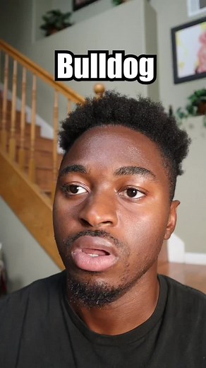 Pet lizards convo with other pets after they shed #xyzcba #viral #skit #fyp #pets #animals