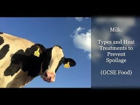 Milk: Pasteurisation, homogenisation, sterilisation, UHT (GCSE Food)