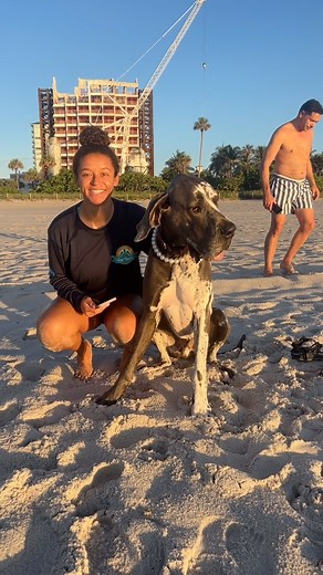 1.5K views · 103 reactions | Turtle hatching update! We spotted the...