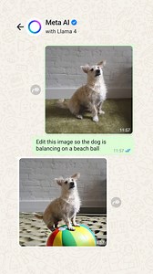 269K views · 7.7K reactions | it’s Larry’s world, we’re just living in it  | Meta | Facebook