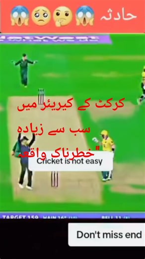 cricket crush out#short#cricket