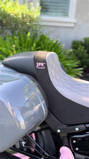 #harleydavidsonmotorcycles #pink #harley #harleydavidsonst #nextlevel