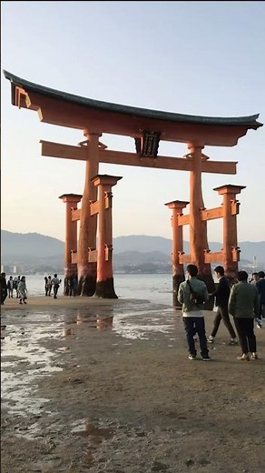 Itsukushima Shrine’s Floating Torii – Watch the Tide Rise! ⛩️🌊 | Japan Travel #explorejapan