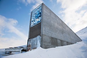 The arctic seed bank that was going to save us all is flooding