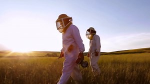 Local Hive Mid-Atlantic Raw & Unfiltered – 32 oz | 100% Pure U.S. Honey | Natural Sweetener Sourced from American Bees & Beekeepers | Medium-Bodied Light Floral Flavor | Ideal for Tea, Baking & Cooking