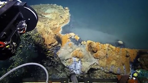 7 Things You Didn’t Know About the Gulf of Mexico – 30A