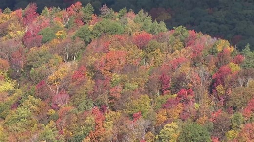 Fall colors are starting to appear in East Tennessee