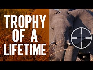 Inside a Luxury African Elephant Hunt: Why Botswana is the Ultimate Destination