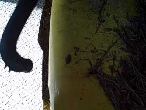 Part 3 - How to Repair Briggs/John Deere LA115 19.5 HP Engine - Troubleshooting