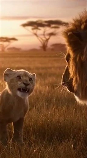 Adorable Golden Kittens Meet a Giant Python | Stunning Interspecies Friendship! 🐱🐍