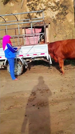 I paired this one at the beginning and I paired it again for the second nest911