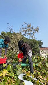 same same but different 🙃😁 | Ashik Khan