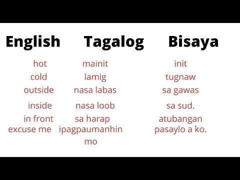 English Tagalog Bisaya Useful Everyday Words | Learn Filipino & Cebuano Basics Fast