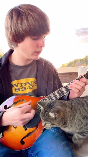 22K views · 435 reactions | I’d like to announce the winner of this gorgeous #mandolin courtesy of The Mandolin Store! Thanks for all of the preorders so far and stay tuned for another big announcement! Tag him if you know him! #mandolinmonday #happyvalley | Wyatt Ellis | Facebook