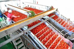 [Hot Item] 2022 The Newest Model of Tomato Paste Making Machine for Paste Production Line