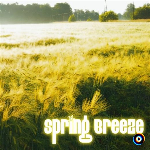 Snowflakes On The Record - Sun Kidz Electrocore Mix by Spring Breeze
