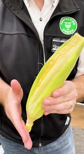 There's an art to finding the perfect corn, let our Produce Expert, Shane bend your ear about it 🌽 | Tom Thumb