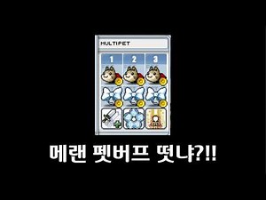 MapleLand Pet Buff Practical Test Summary
