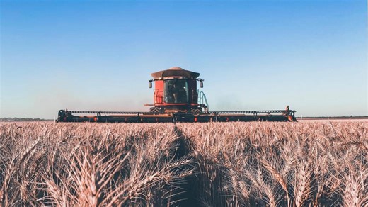 The ultimate harvest countdown