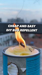 823K views · 16K reactions | Empty Can + Olive Oil + Toilet paper = Magic!  How to keep those annoying bugs away without the use of any toxic chemicals! 朗 . . . . #lifehacks #summer #bugs #lifehacks #hacks #tipsandtricks #howto #learn #ideas #creativeexplained #wow #kitchenhacks | creative explained | Facebook