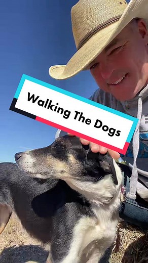 Fresh air and time with the dogs was good but not quite ready for more than that.