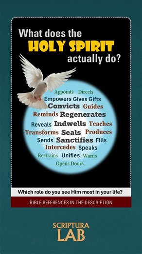 What Does the Holy Spirit Actually Do?