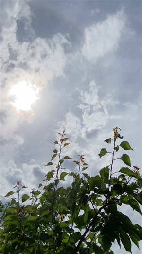 #діти #рекомендации