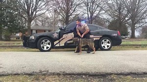 9.8K views · 127 reactions | Thank you to the Cherokee County Sheriffs Dept. for the live demonstrations tonight! These highly trained K-9 officers are incredible. | Chick-fil-A Gaffney | Facebook