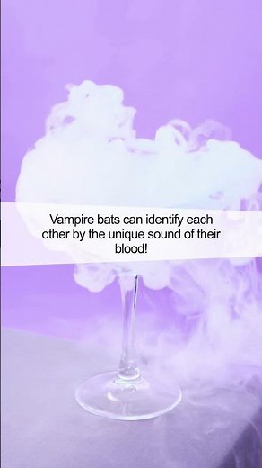 Surprising Fact About Vampire Bats: Incredible Feeding Behavior