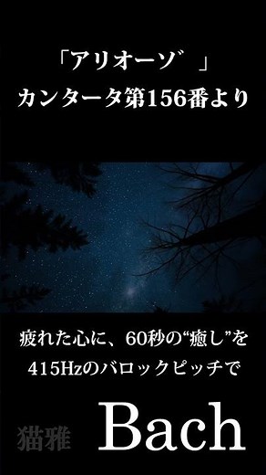 これ以上に美しいオルガンはない｜バッハの傑作 #organmusic #baroque #emotional