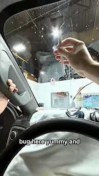 Why I Use a Razor Blade Scraper on Every Windshield