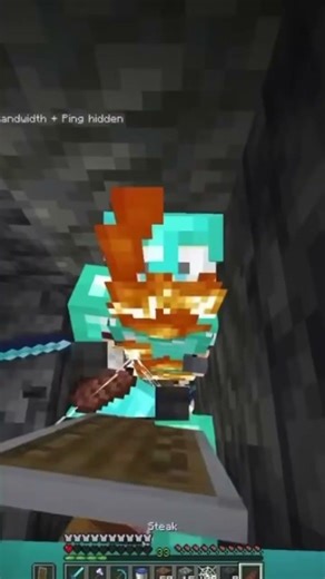 Yami stirbt in Minecraft Alarm