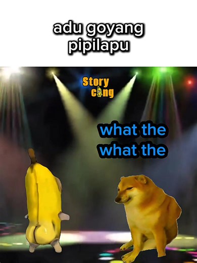ato goyang pipilapu 😂 #memekucing #meme #fyp #viral