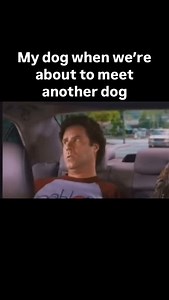 327K views · 10K reactions | The sniffs better be on point. . All...