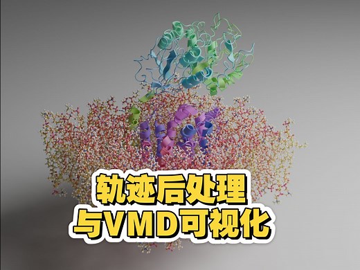 分子动力学模拟(四)：VMD轨迹可视化，动力学模拟轨迹后处理，RMSD与氢键的计算