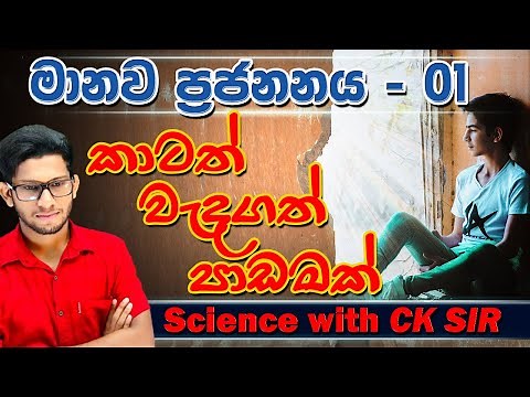 මානව ප්‍රජනනය ආරම්භය - grade 10 - science - විද්‍යාව - 10 ශ්‍රේණිය - lesson 14 day 01 -CK science