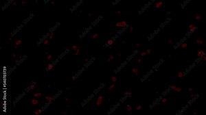 Blood Drops Dripping Down in Camera Screen Glass - Transparent Background [20sec 30fps Video] Stock Video