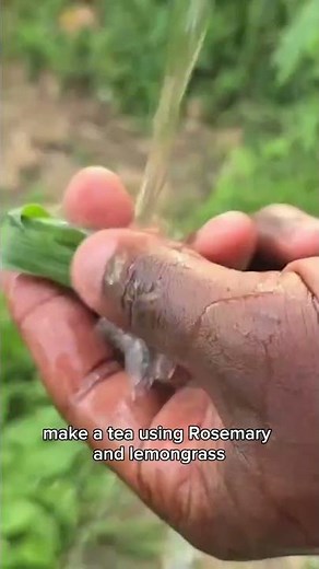 How to make the best lemongrass tea for Better Circulation and Heart Health