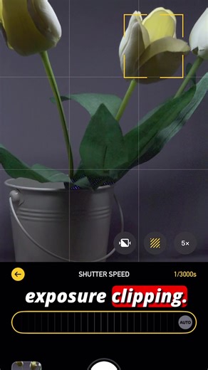 Day 11: Exposure Clipping in Photon Camera Screens can be deceiving — what you see on your iPhone screen is not always the exact exposure you’ll get in your final photo. To make sure you capture the exposure you want, Photon Camera includes a tool called exposure clipping. It highlights problem areas: Blue lines mark underexposed regions Red lines mark overexposed ones As a general rule, always expose for your subject and ensure there are no red or blue lines before shooting. Download Photon Cam