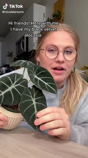 Nicole Larson on TikTok