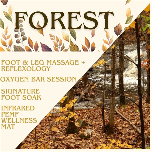 Refresh your senses with the endless benefits of aromatherapy,...