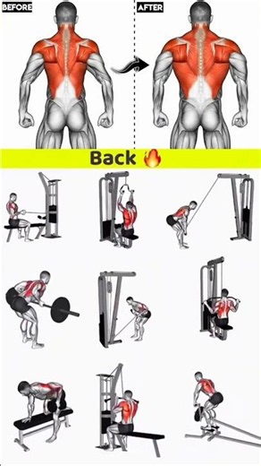 Ultimate Back Workout 🔥 Build a Wide & Strong Back 💪