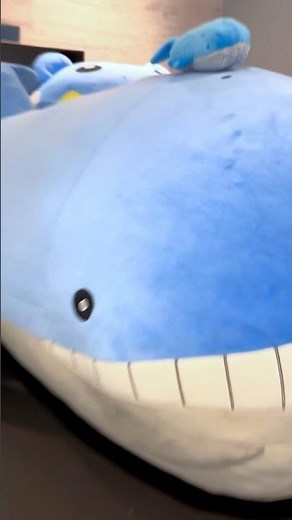 Consider this your formal invitation to the BIG BLUE BUDDY BASH 🕺🪩 #Pokemon #Wailord #Spheal