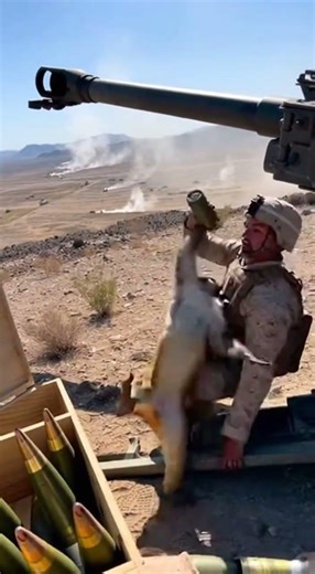 Monkey Faces Artillery Surprise! #MonkeyBusiness #MarineLife #ArtilleryShock
