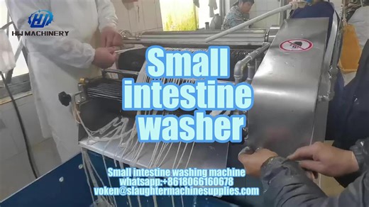 Meet the Small Intestine Washing Machine – revolutionizing meat processing! 🧼🔁 ✅ Fast & clean ✅ Sanitary for abattoir equipment lines ✅ Boosts slaughter line efficiency Contact: WhatsApp 86 180 6616 0678 | Email voken@slaughtermachinesupplies.com #meatprocessing #slaughterequipment #abattoirequipment #slaughterline #meatindustry #meatequipment #meatlover #butchery #foodprocessing #stainlesssteel #industrialmachinery #factory #meatplant #meatlovers #processing #automation #meatslicer
