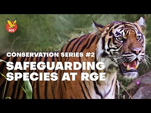 Conservation Start Here | Safeguarding Species at RGE