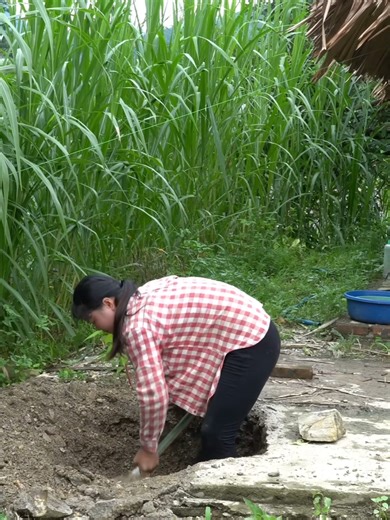 Building a Strong Home Foundation