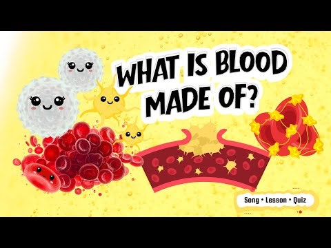Your Blood Is A Super Team (And Here’s Why) 🩸 | Circulatory System Song, Lesson & Quiz for Kids