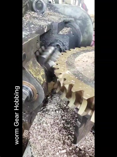 Hardened Steel Worm Shaft Copper Worm Gear Wheel for Screw Elevator